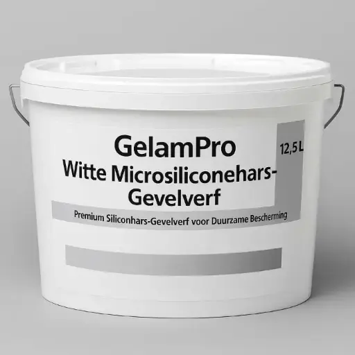 GelamPro White Microsilicone Resin Facade Paint 12.5L - Peinture de façade de qualité supérieure, hydrofuge et élastique pour les façades, les enduits décoratifs et le liège en spray [32]